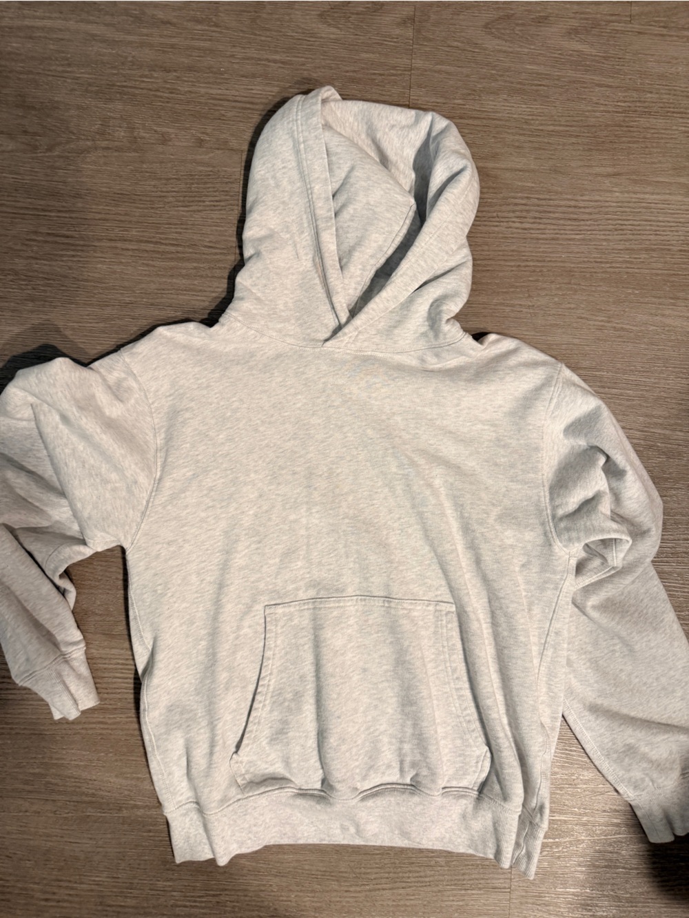 Aritzia Light Gray Hooded Sweatshirt